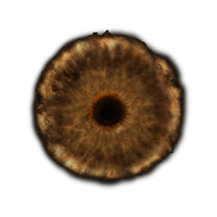 Rune
